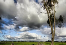 K1体育：},{fpTime＂：1740530460,＂title＂：＂张子宇身高2米27，在全明星赛上打球就像和小孩玩一样，篮板简直随便刷！.