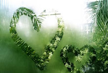 K1体育：法甲图卢兹VS巴黎圣日耳曼预测分析：图卢兹一门+主力中卫回归，但主力中锋新增伤情！.