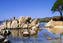 K1体育：微视频丨感悟总书记的“三农”情怀.